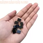 Hàng Rào Cái Đơn 2.54mm 1x4 Pin Chân Thẳng